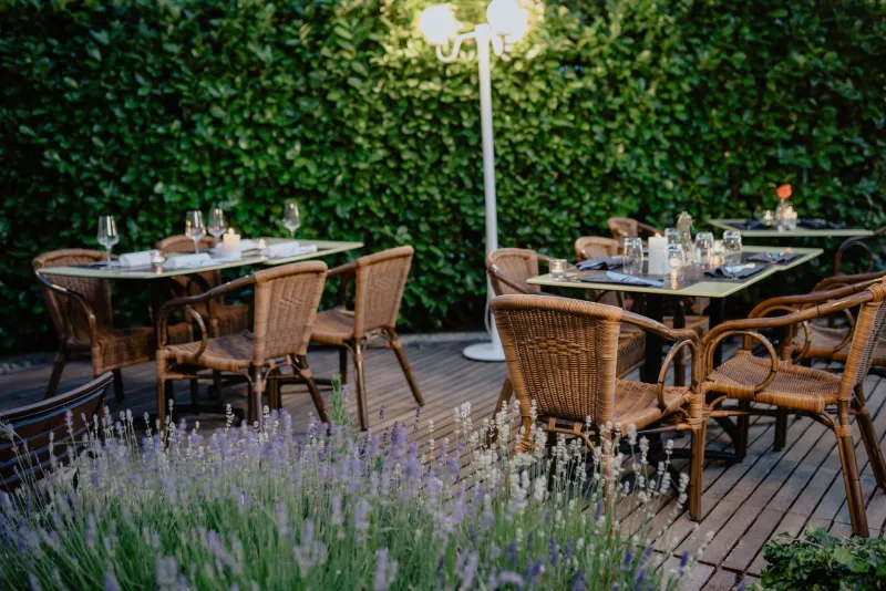 The Eloquence of Waiting: Why the Finest American Restaurants Are Embracing Stillness Between Courses